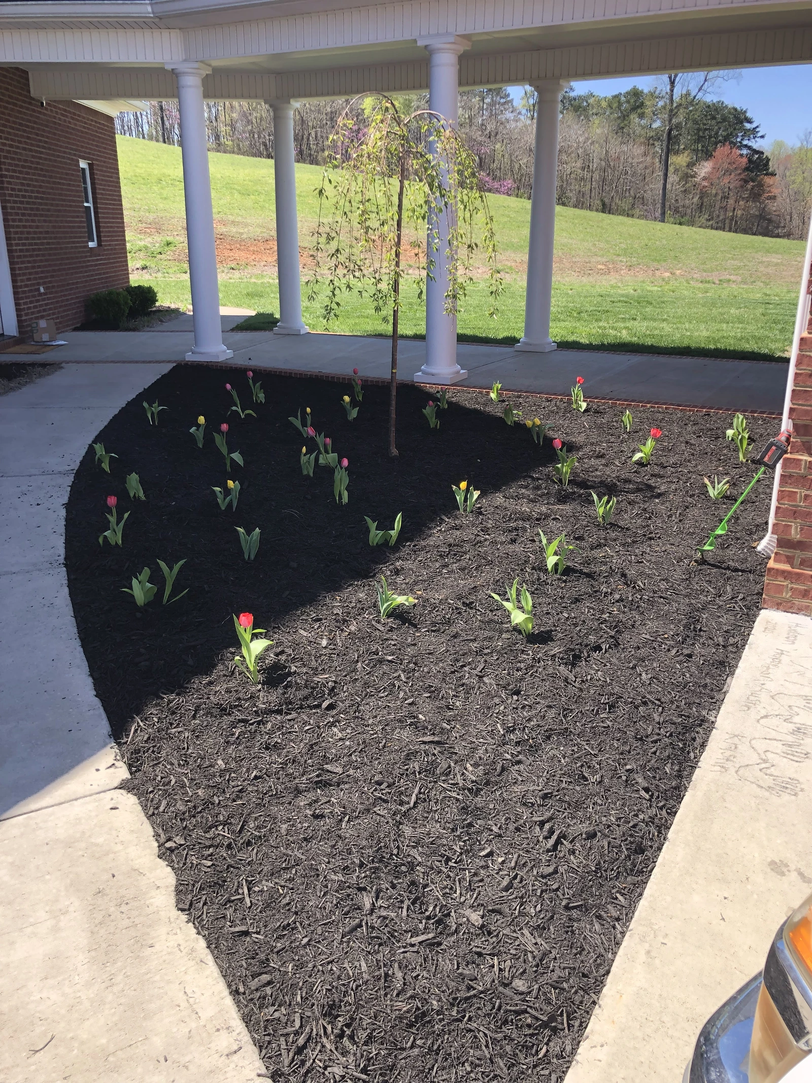Fresh mulch and small plants in a curved bed beside a covered porch